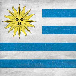 Uraguay Flag Distressed 3DS XL 2015 Skin